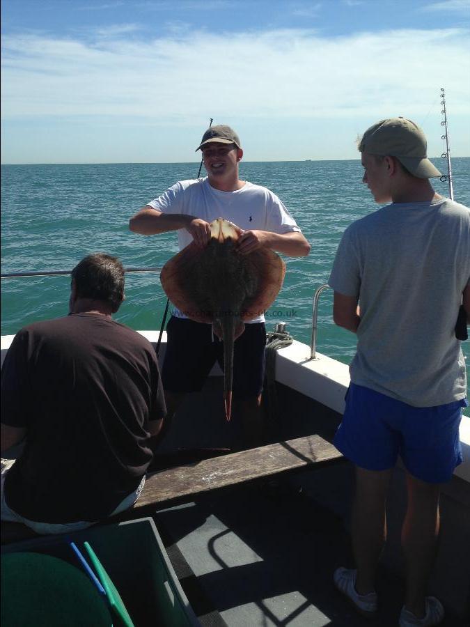 16 lb Undulate Ray by Unknown