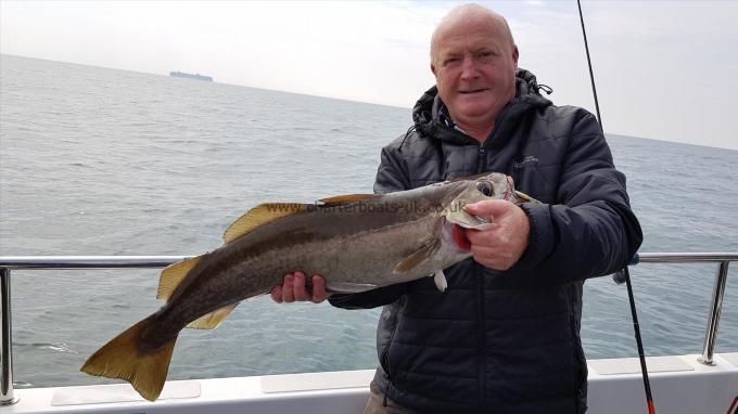 8 lb 1 oz Pollock by Unknown