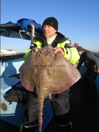 16 lb Thornback Ray by Unknown