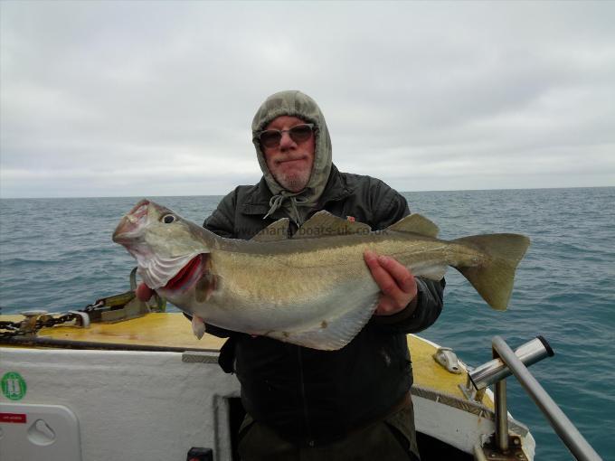 11 lb Pollock by Mick