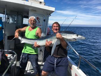 96 lb Blue Shark by Tim & Ian