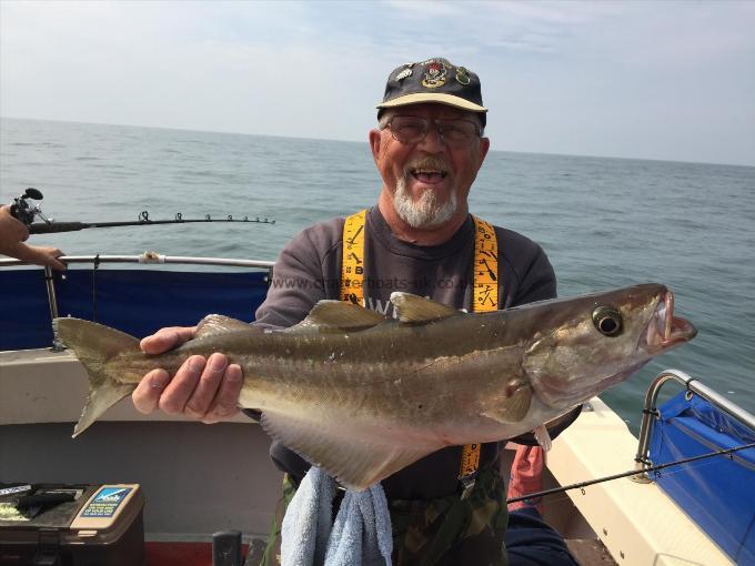 8 lb Pollock by Anthony Avis