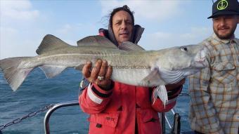 13 lb Cod by Unknown