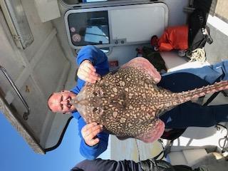 11 lb 4 oz Thornback Ray by Paul