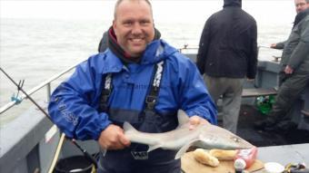 3 lb 7 oz Smooth-hound by Kev
