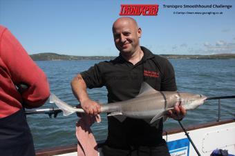 11 lb Starry Smooth-hound by Deka