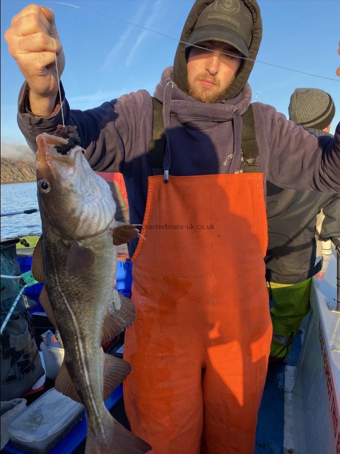 4 lb Cod by Fergus Powell.