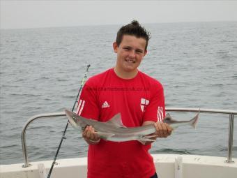 5 lb Smooth-hound by Unknown