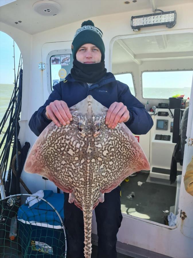 8 lb Thornback Ray by Pat