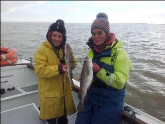 2 lb Cod by Scott Belbin