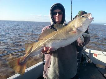 10 lb Cod by Unknown