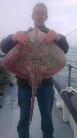 10 lb Thornback Ray by kevin from dover