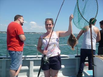 1 lb Black Sea Bream by Unknown