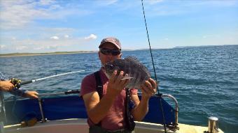 3 lb Black Sea Bream by Stephen Wake