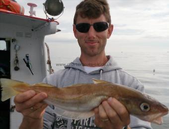 2 lb Whiting by aussie paul