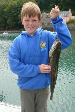 6 lb Pollock by Todd Clapham