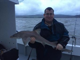 12 lb Smooth-hound (Common) by damian Morgan