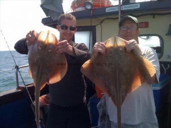10 lb Blonde Ray by Malcolm Collins