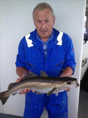 7 lb Pollock by Deckhand John