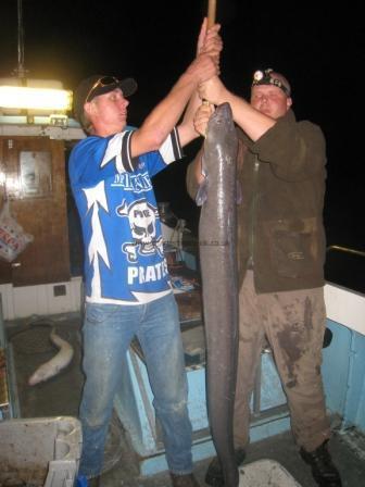 50 lb Conger Eel by Trigger