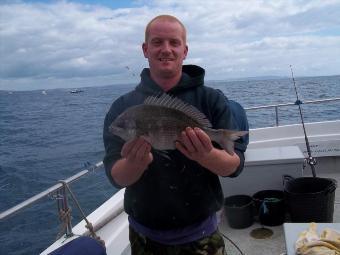 2 lb 4 oz Black Sea Bream by Unknown