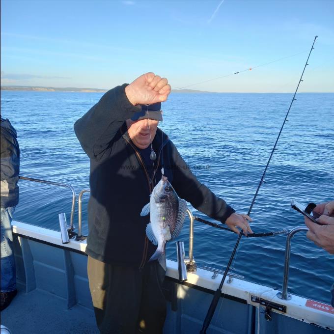 2 lb Black Sea Bream by John