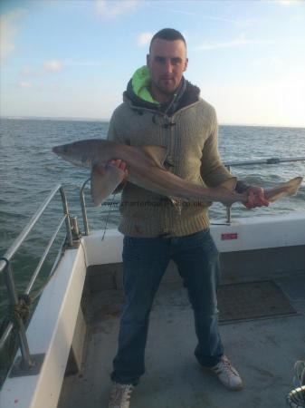 13 lb 4 oz Smooth-hound (Common) by justin webber
