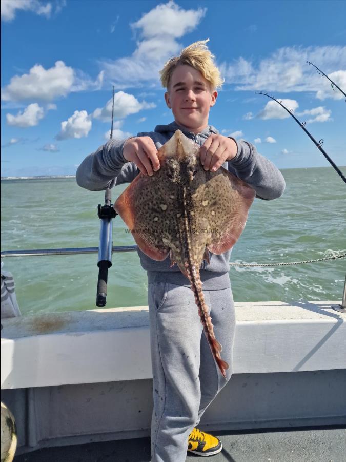 4 lb Thornback Ray by Logen