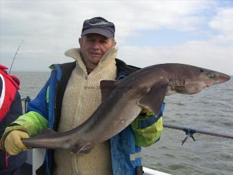 22 lb 8 oz Tope by alan picton