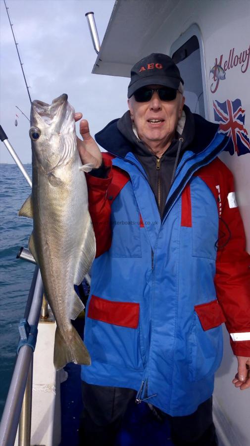 9 lb 6 oz Pollock by Malcombe