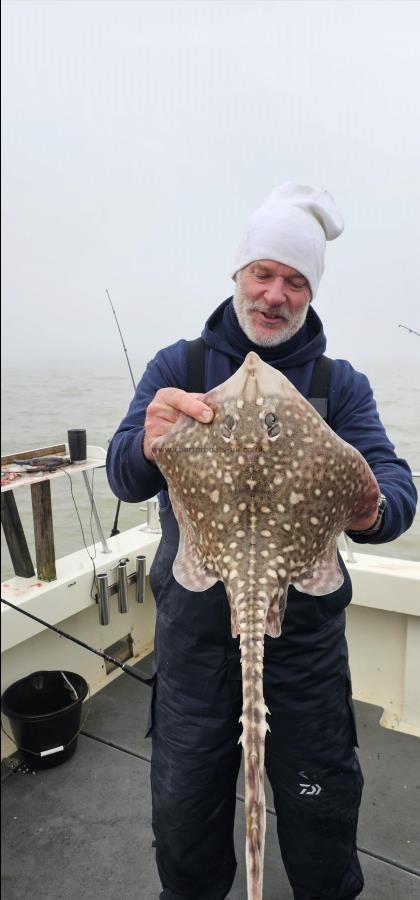 5 lb Thornback Ray by Phil