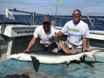 105 lb Blue Shark by Kevin McKie