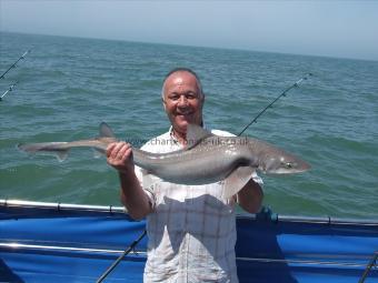 16 lb 8 oz Starry Smooth-hound by Michael