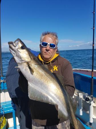 11 lb Pollock by Mel Till