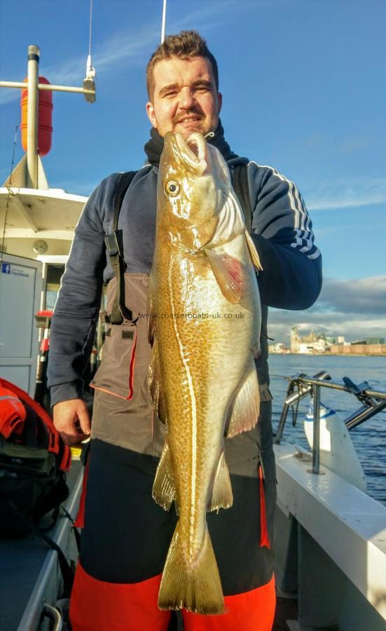 14 lb Cod by Unknown