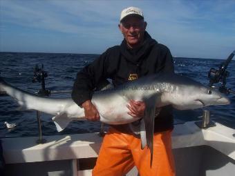 90 lb Blue Shark by Dave Axtell
