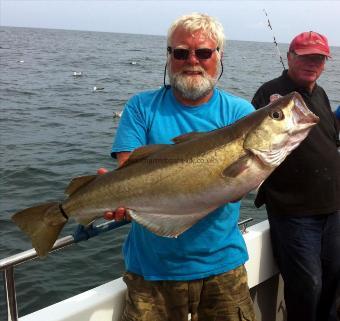 14 lb 5 oz Pollock by Phil