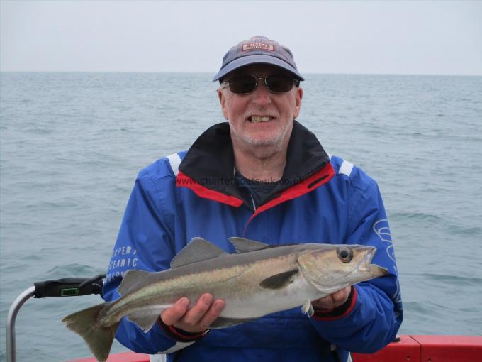 3 lb 8 oz Pollock by bob