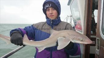 7 lb 4 oz Smooth-hound (Common) by eithan from London