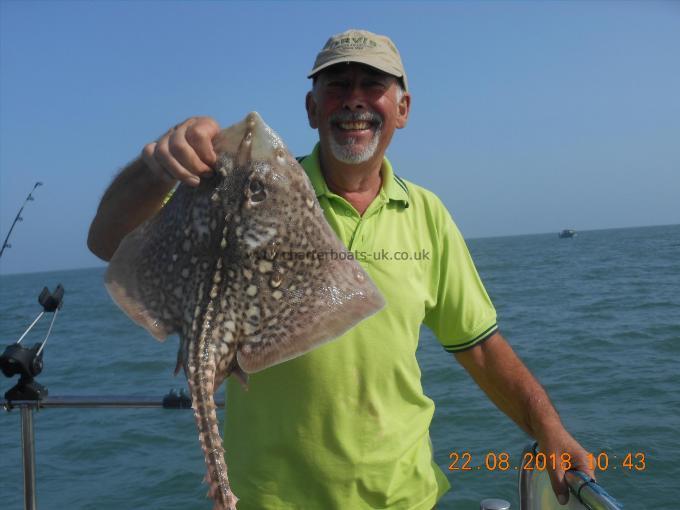 4 lb Thornback Ray by Robin