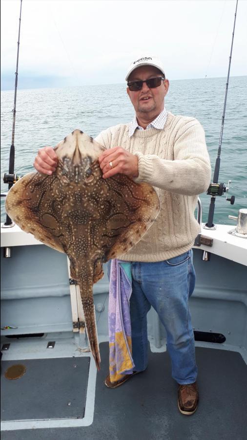 16 lb 8 oz Undulate Ray by Rob Green