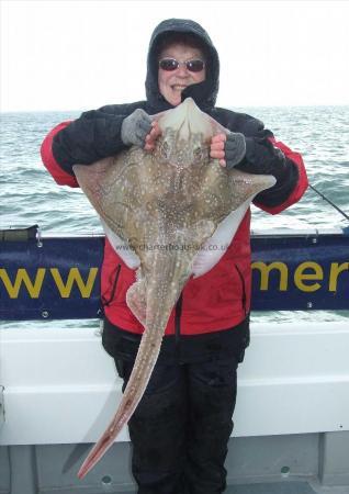 15 lb 4 oz Undulate Ray by Denise Youngs