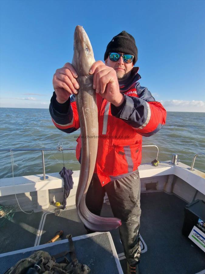 5 lb Conger Eel by Steve Holland