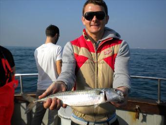 2 lb Mackerel by Ryans` Gang