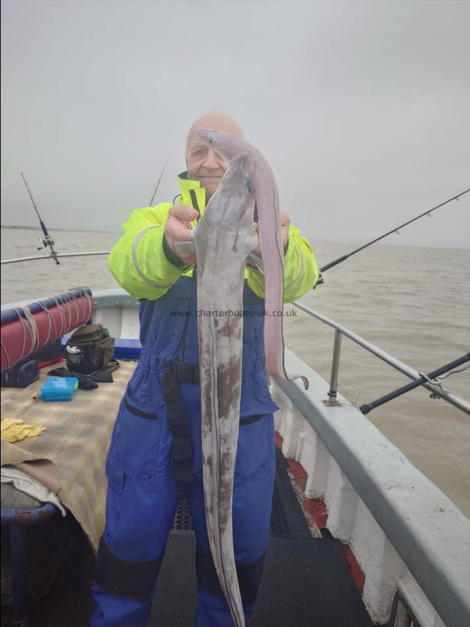 12 lb Conger Eel by Ron