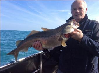 16 lb Pollock by Bob fowler