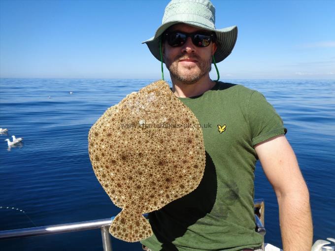 3 lb Turbot by Unknown