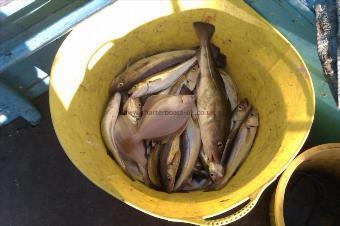 2 lb 8 oz Whiting by Paul Morrow