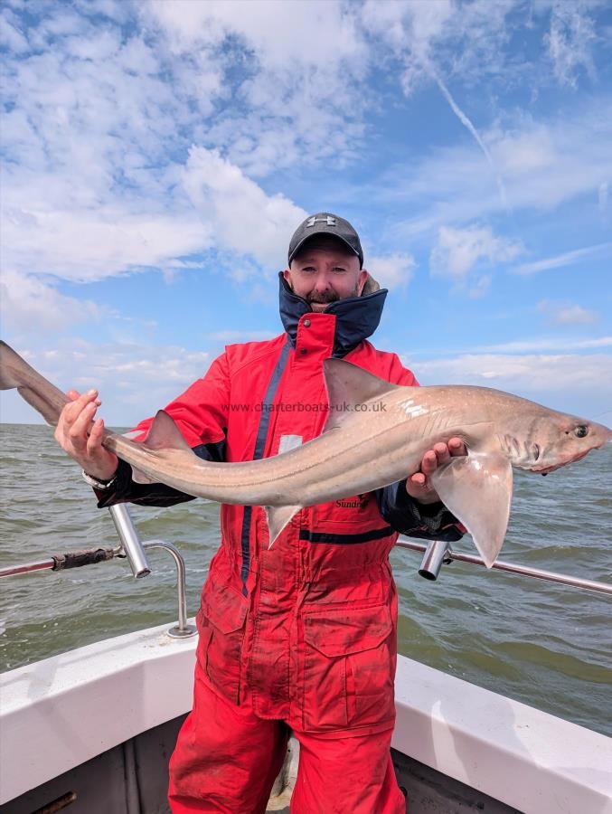 10 lb Smooth-hound by Sean