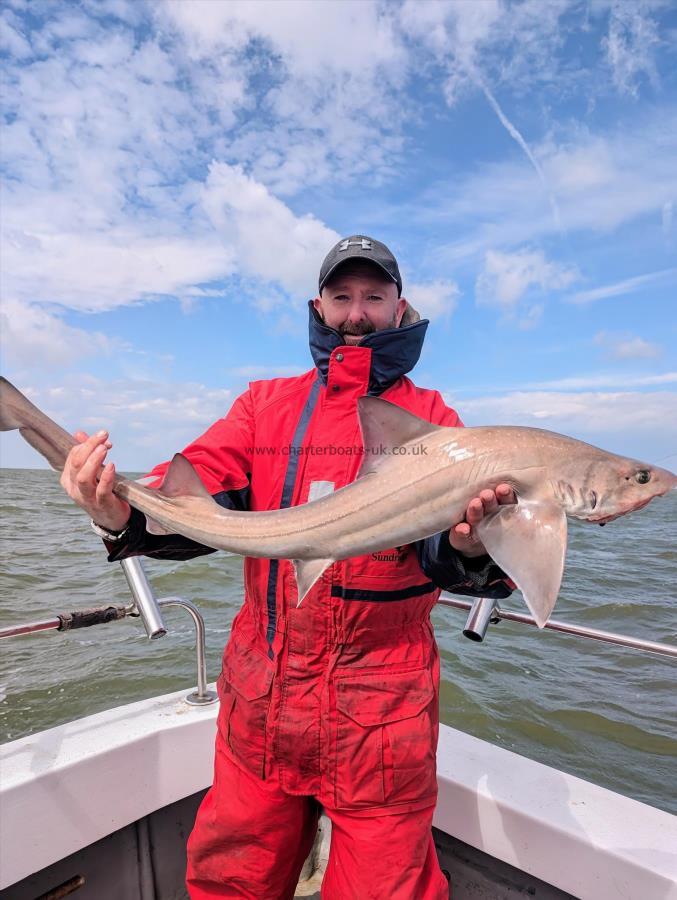 10 lb Smooth-hound (Common) by Sean